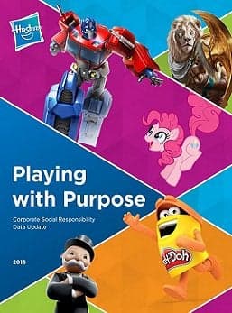 CSR report - playing with purpose