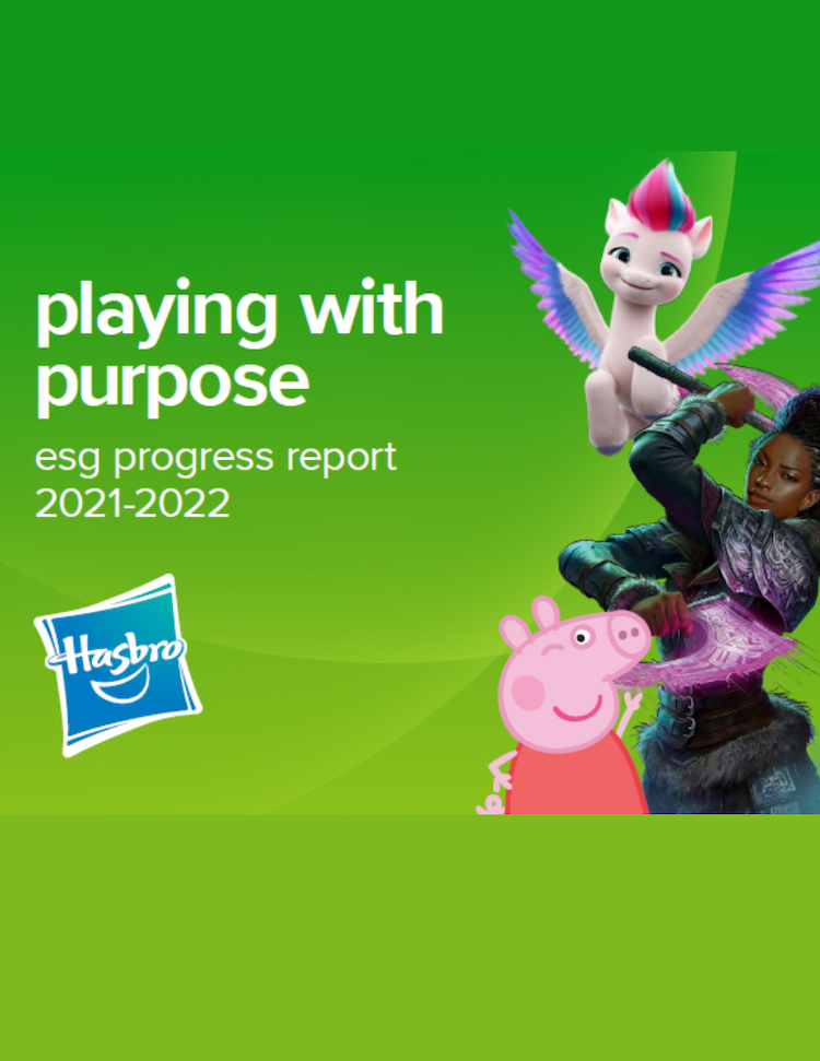 CSR report - playing with purpose
